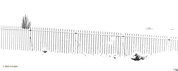 Monochrome images